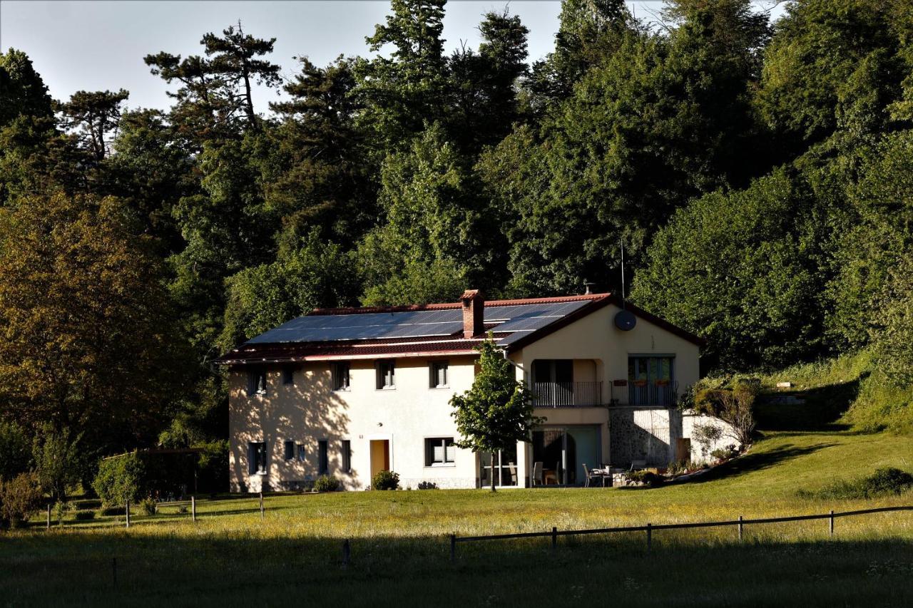 Guesthouse Idila Pod Nanosom Senozece Dış mekan fotoğraf