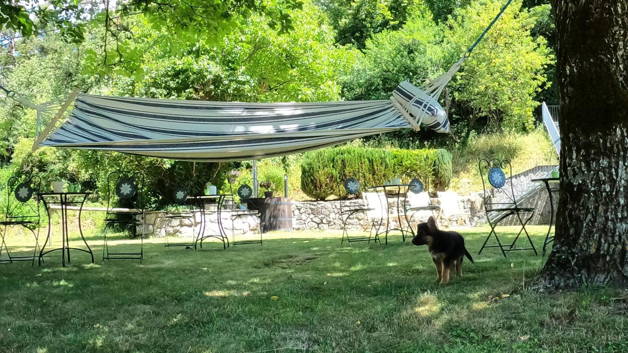 Guesthouse Idila Pod Nanosom Senozece Dış mekan fotoğraf