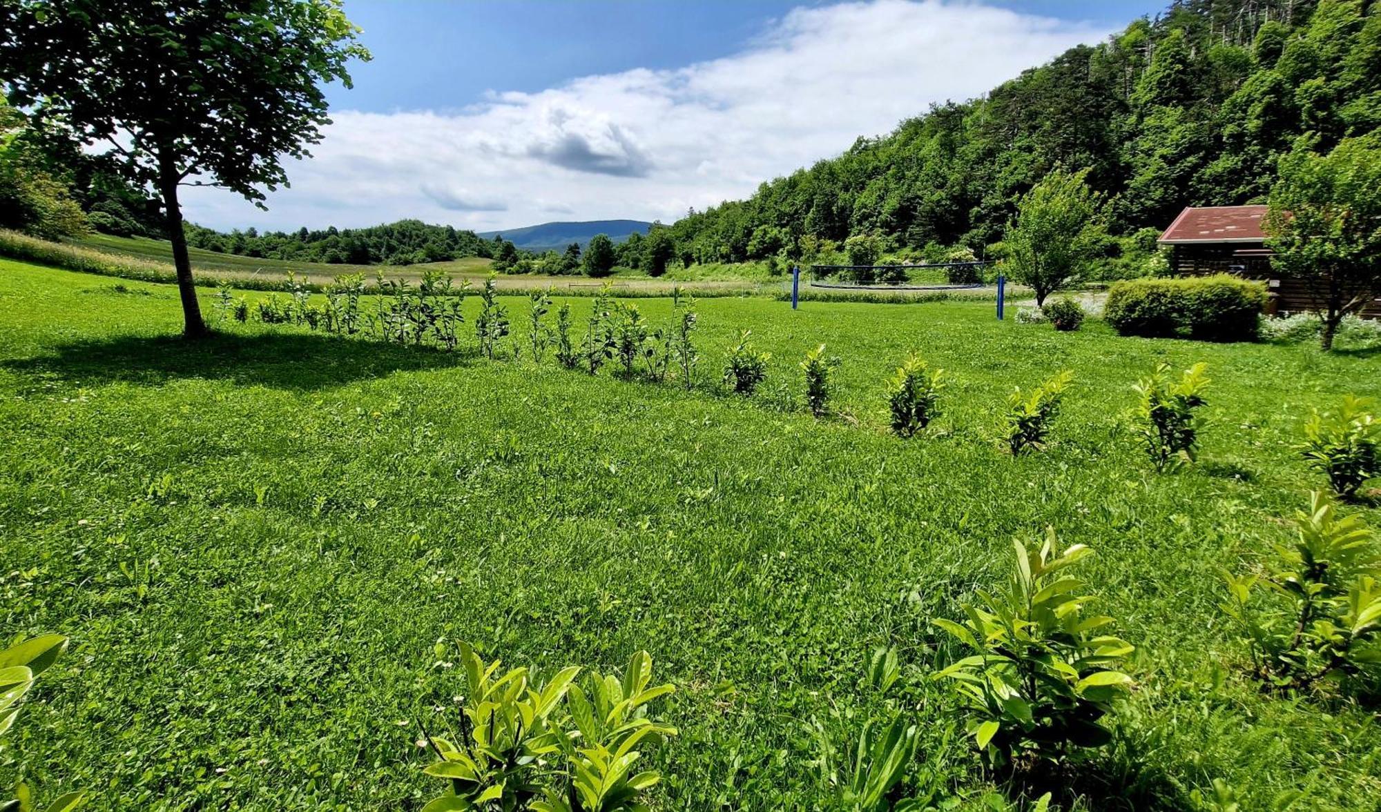 Guesthouse Idila Pod Nanosom Senozece Dış mekan fotoğraf
